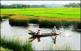 Quê nhà - Ảnh minh họa